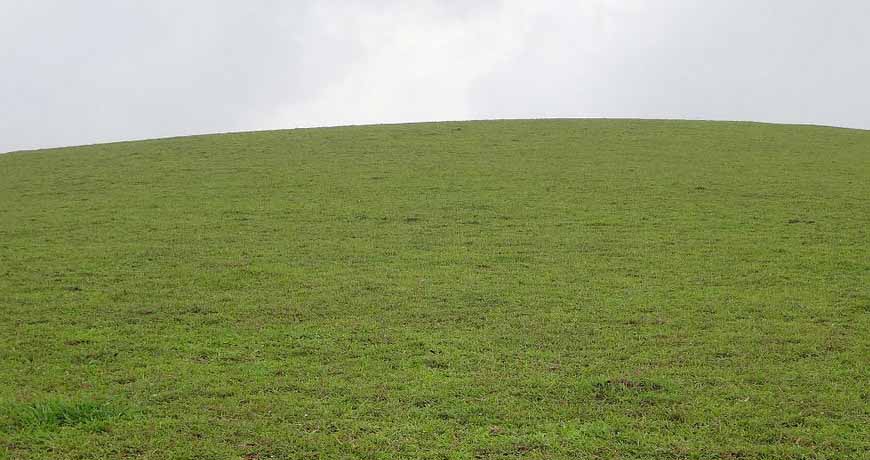 Vagamon Kumarakom Tour Package