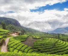 Munnar