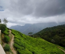 Cochin Munnar