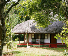 Cochin Thekkady