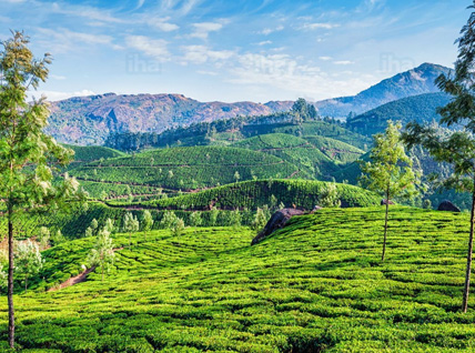 Delightful Kerala Tour